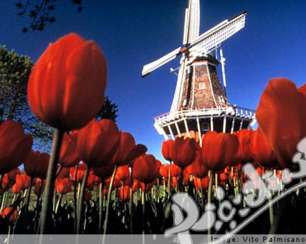 На изложение в Холандия ще бъде показан вагон-салонът на Цар Борис III