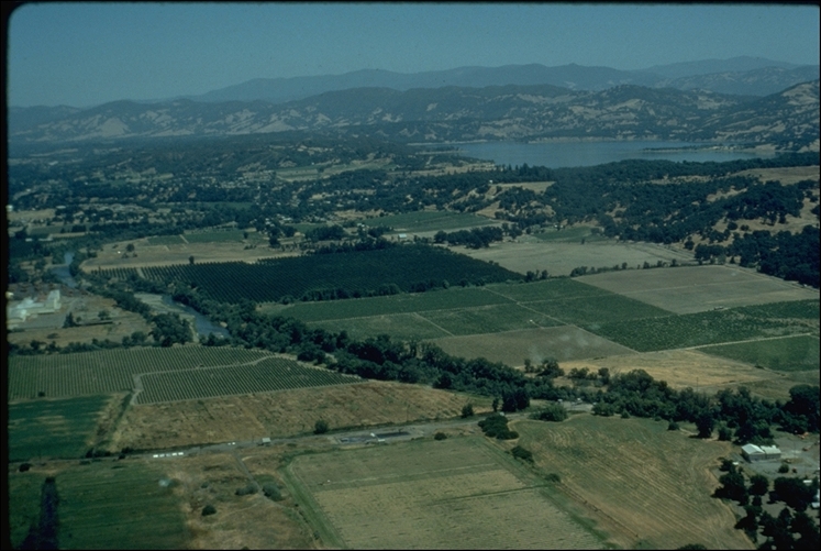 Богати държави изкупуват земеделска земя в бедните страни