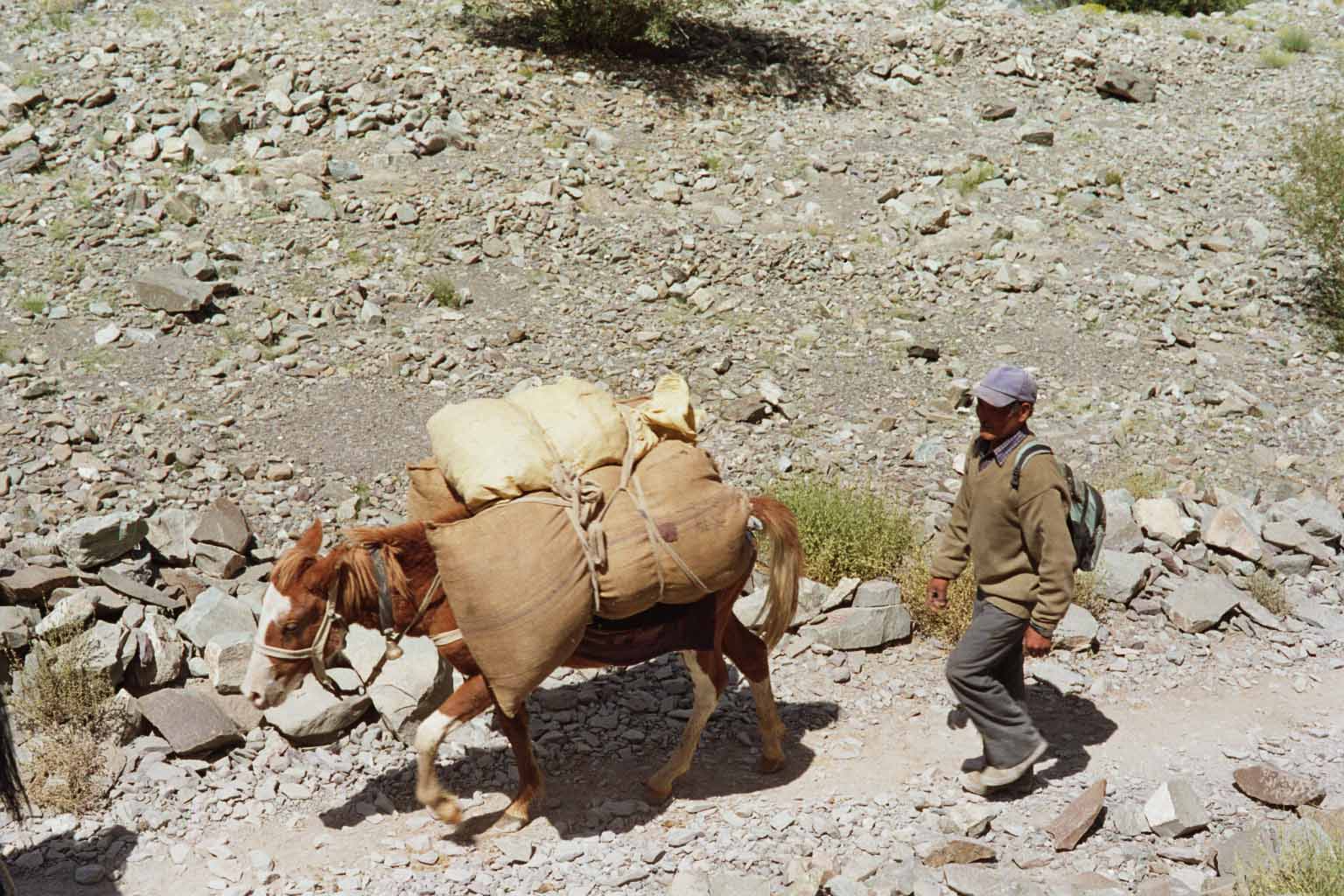 Безработицата леко нараства