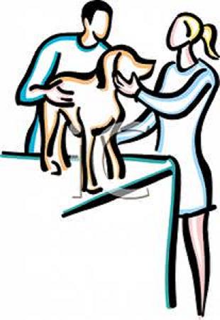 Националната ветеринаромедицинска служба ще получи допълнителни средства в размер на 3 млн. лв.