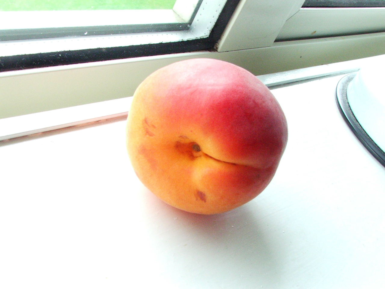 Министерският съвет одобри Национална програма по безопасност и здраве при работа за 2011 г.