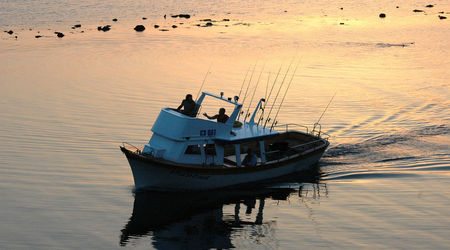 Правителството предлага промени в Закона за рибарството и аквакултурите