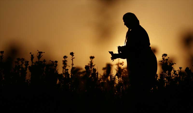 Върху цигарените кутии ще бъде изписвано името на производителя